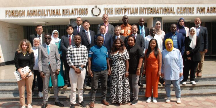 «الزراعة»: تفتتح البرنامج التدريبي الثاني لأبحاث الأرز والإرشاد الزراعي بمشاركة 10 دول افريقية 1 «الزراعة» تفتتح البرنامج التدريبي الثاني لأبحاث الأرز والإرشاد الزراعي