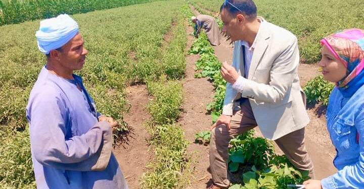 وكيل زراعة أسيوط يقوم بجولة ميدانية لمتابعة الزراعات الصيفية.. والثروة الحيوانية بقرية بمنفلوط 1 وكيل زراعة أسيوط يتفقد زراعات الخضار