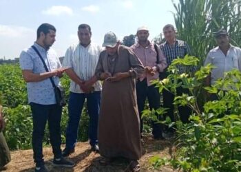فريق إرشادي ريفي بمديرية زراعة كفر الشيخ