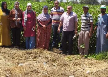 فرق وندوات إرشادية بزراعة الشرقية