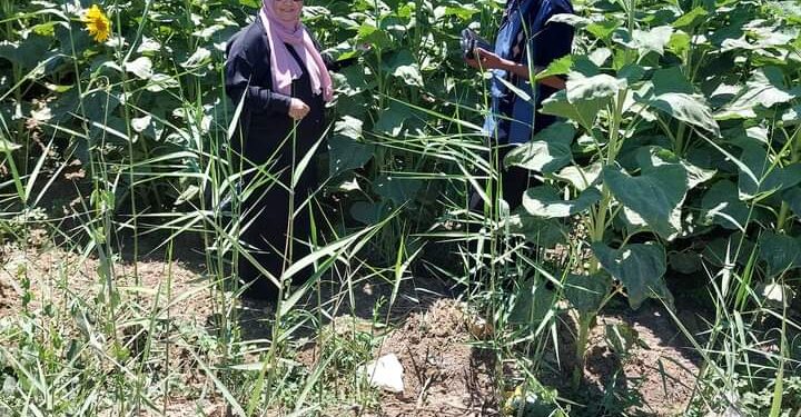 لجنة المكافحة بمديرية زراعة السويس تتابع الزراعات الصيفية