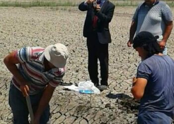 «زراعة بورسعيد » تقوم بعمل معاينات للتربة