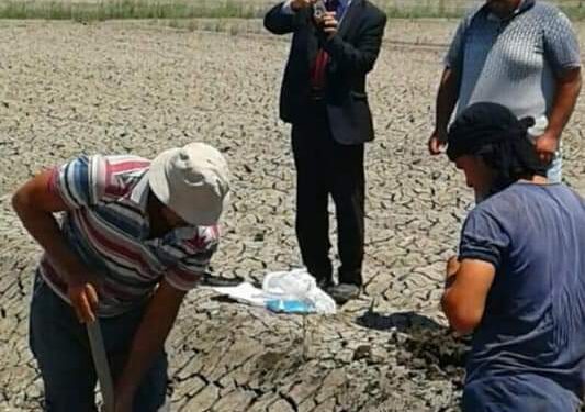 «زراعة بورسعيد » تقوم بعمل معاينات للتربة