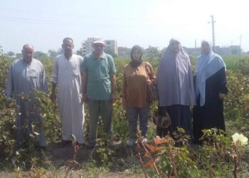 زراعة الشرقية تعقد ندوة إرشادية عن محصول القطن