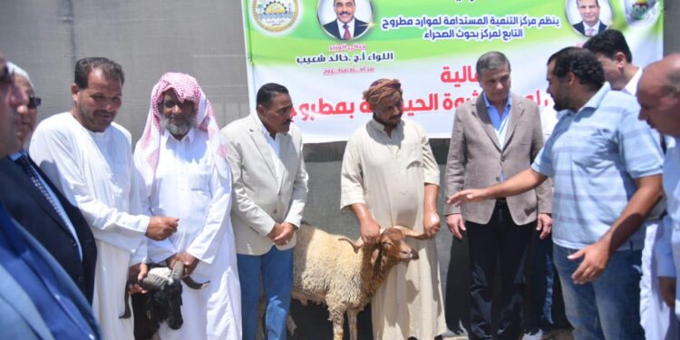 وزير الزراعة ومحافظ مطروح يوزعان 50 ألف شتلة زيتون و 120 كبش من سلالة الأغنام البرقي على المزراعين مجانا 1 وزير الزراعة