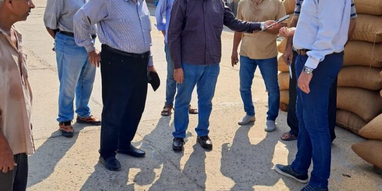 "رئيس قطاع الخدمات" يتابع محطات التقاوى وحقول الإكثار في بنى سويف 1 قطاع الخدمات