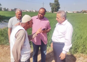 شؤون المديريات