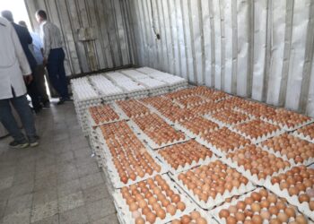 «وزير الزراعة» يتفقد مزرعة الإصلاح الزراعي لإنتاج البيض بإيتاي البارود