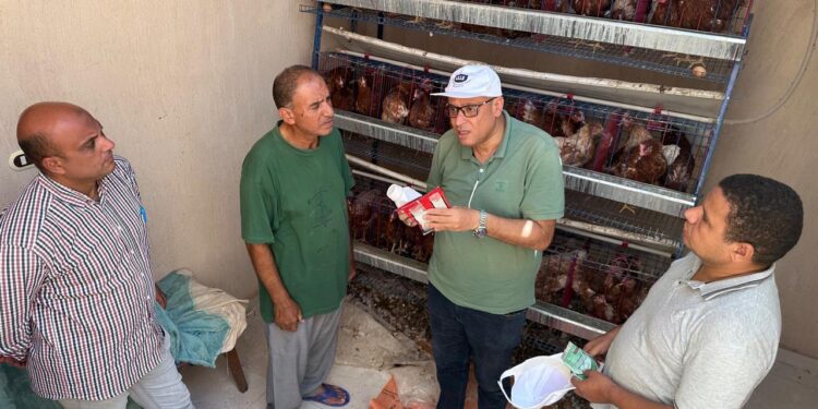 “بحوث الصحراء” يطلق قافلة بيطرية لدعم التنمية الزراعية بسيناء