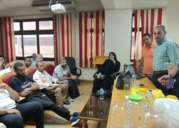 زيتون المائدة