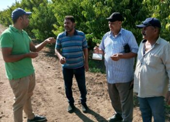 مكافحة الآفات