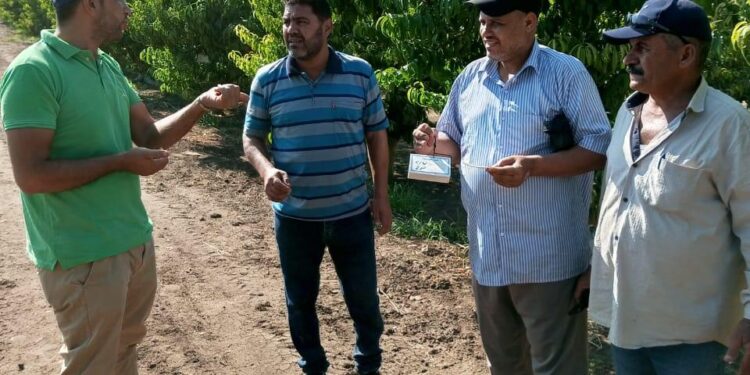 مكافحة الآفات