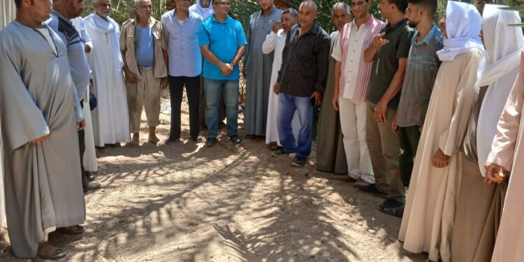 الزراعة: نشاط إرشادى مكثف للمراكز الإرشادية الزراعية خلال الأسبوع الأول من شهر أغسطس 2024 1 الزراعة