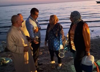 زريعة جمبري