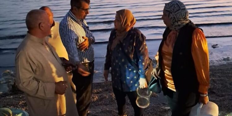 زريعة جمبري