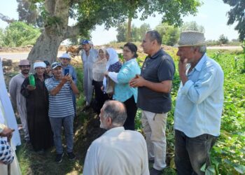 المركزية للإرشاد