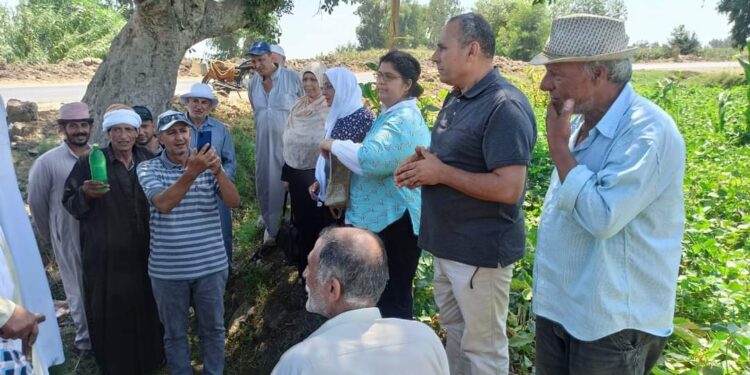 المركزية للإرشاد