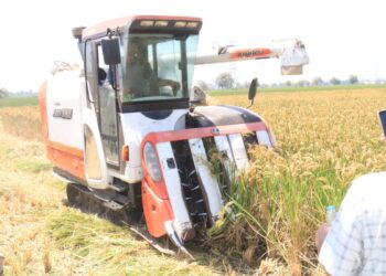 البحوث الزراعية