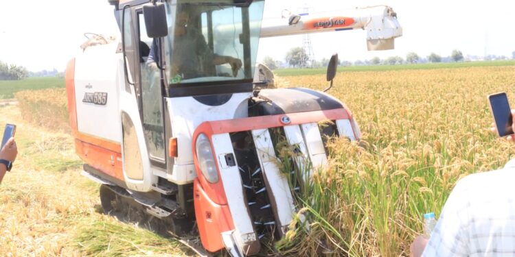 البحوث الزراعية