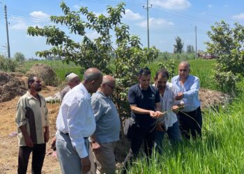 البحوث الزراعية