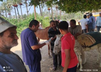 البحوث الزراعية يطلق قافلة بيطرية مجانية بالإسماعيلية