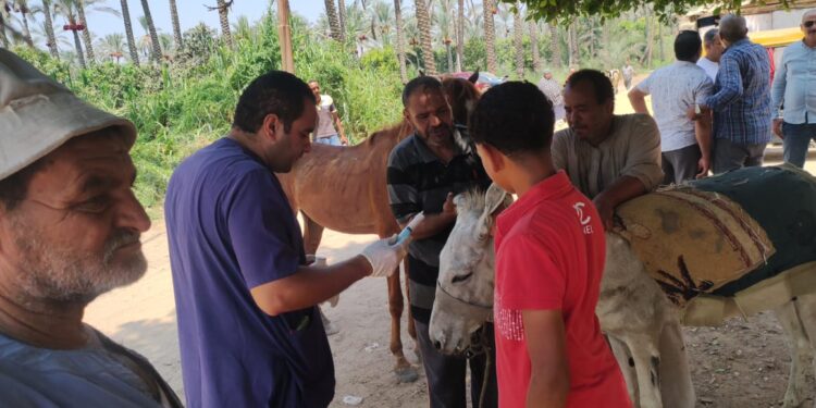 البحوث الزراعية يطلق قافلة بيطرية مجانية بالإسماعيلية 1 البحوث الزراعية يطلق قافلة بيطرية مجانية بالإسماعيلية