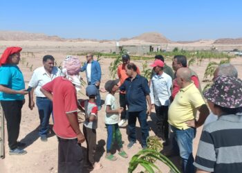 بحوث الصحراء