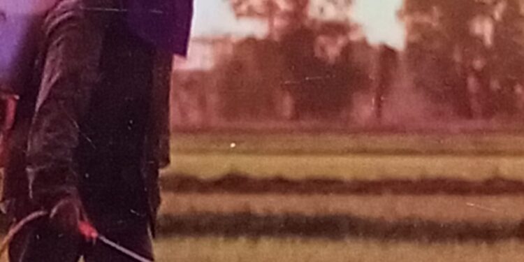 "طرق فحص بذور الحشائش في الشحنات النباتية" دورة تدريبية بالمعمل المركزى لبحوث الحشائش 1 بحوث الحشائش