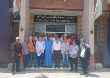 البحوث الزراعية تنظم يوم الحقل السنوي لمحصولي الذرة والأرز بمحطة سخا