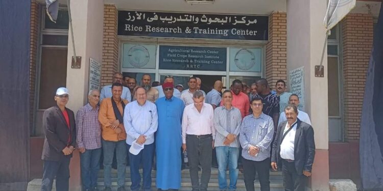 البحوث الزراعية تنظم يوم الحقل السنوي لمحصولي الذرة والأرز بمحطة سخا 1 البحوث الزراعية تنظم يوم الحقل السنوي لمحصولي الذرة والأرز بمحطة سخا