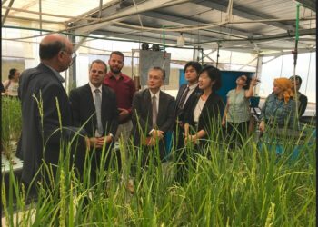 الزراعة والجايكا اليابانية يفتتحان البرنامج التدريبي لتنمية المزارع السمكية