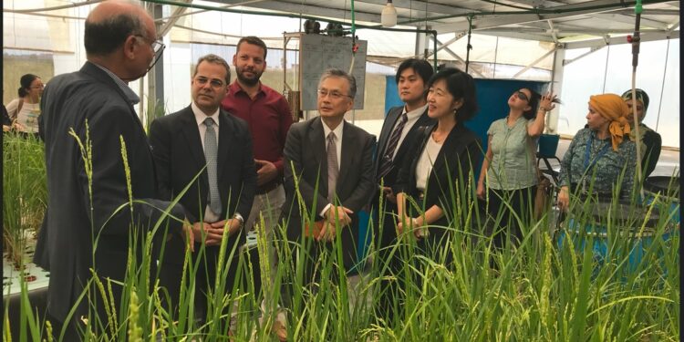 «الزراعة» و«الجايكا» يطلقان البرنامج التدريبي لتنمية المزارع السمكية 1 الزراعة والجايكا اليابانية يفتتحان البرنامج التدريبي لتنمية المزارع السمكية