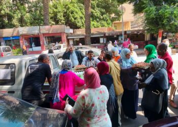 “الزراعة” تواصل طرح بيض المائدة للبيع للمواطنين بسعر ١٣٠ جنيه للكرتونة