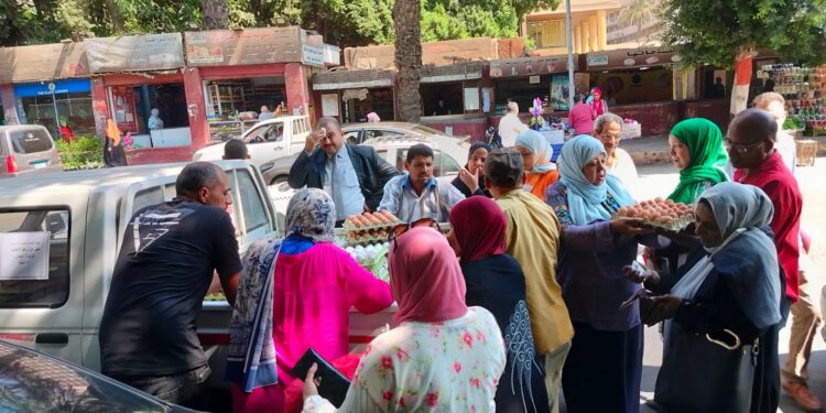 "الزراعة" تواصل طرح بيض المائدة للبيع للمواطنين بسعر ١٣٠ جنيه للكرتونة 1 “الزراعة” تواصل طرح بيض المائدة للبيع للمواطنين بسعر ١٣٠ جنيه للكرتونة