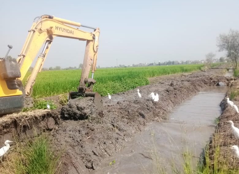 فيديو وصور | "الزراعة" تواصل حملات تطهير المساقي الخصوصية على مستوى الجمهورية 1 فيديو وصور | “الزراعة” تواصل حملات تطهير المساقي الخصوصية على مستوى الجمهورية