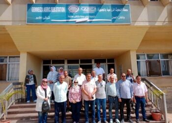 “القومى للجينات” ينظم يوم حقلى لمتابعة التنوع الوراثي للشمام ولوبيا العلف بمحطة بحوث الجميزة