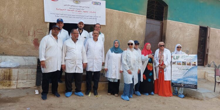 الصحة الحيوانية