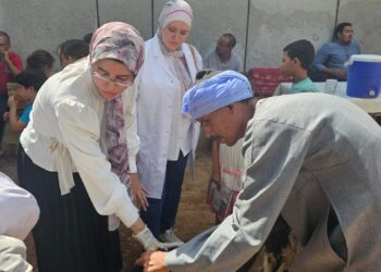 صحة الحيوان