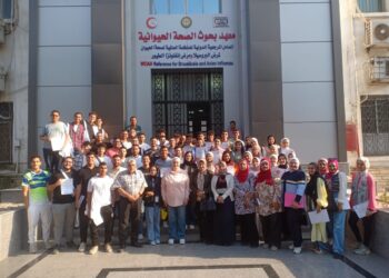 الصحة الحيوانية