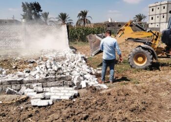 وزير الزراعة