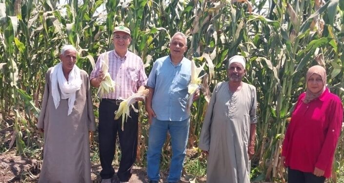 «زراعة الجيزة»: فريق إرشادي لمحصول الذرة الشامية بأوسيم 1 «زراعة الجيزة»: فريق إرشادي لمحصول الذرة الشامية بأوسيم