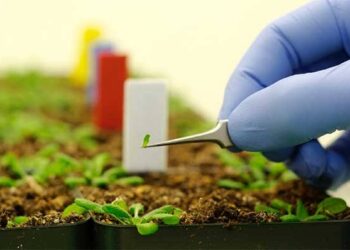 النانو تكنولوجي