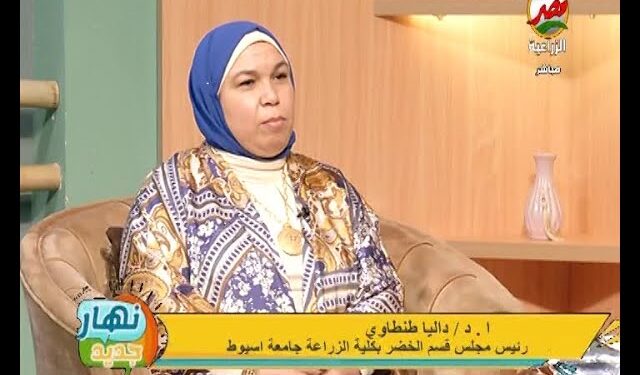 7 فوائد لمحصول الكاسافا..الدكتورة داليا طنطاوى: يحل أزمة الخبز والأعلاف ومصدر رئيسي للسعرات الحرارية والكربوهيدرات 1 الدكتورة داليا طنطاوى رئيس مجلس قسم الخضر كلية الزراعة جامعة أسيوط