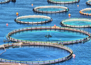 الاستزراع السمكي وتأثره بالتغيرات المناخية