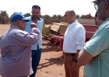 المدير التنفيذى لهيئة التعمير والتنمية الزراعية يتابع المشروعات بأسوان