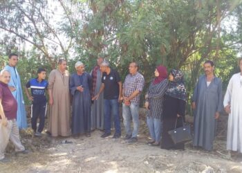 نظمت زراعة أسيوط 4 ندوات إرشادية للذرة الشامية والرفيعة