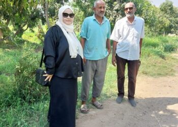 زراعة السويس تتابع زراعات السمسم والذرة والنخيل بجمعية الشلوفة