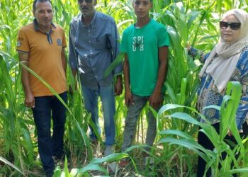 زراعة السويس : تقوم بالمرور علي الزراعات الصيفية