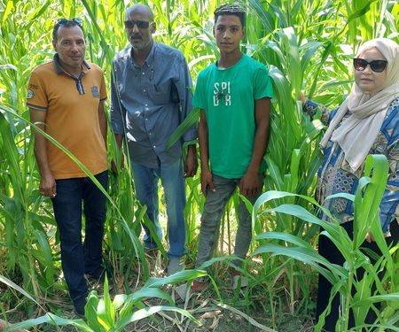 زراعة السويس : تقوم بالمرور علي الزراعات الصيفية..ومحال بيع المبيدات 1 زراعة السويس : تقوم بالمرور علي الزراعات الصيفية