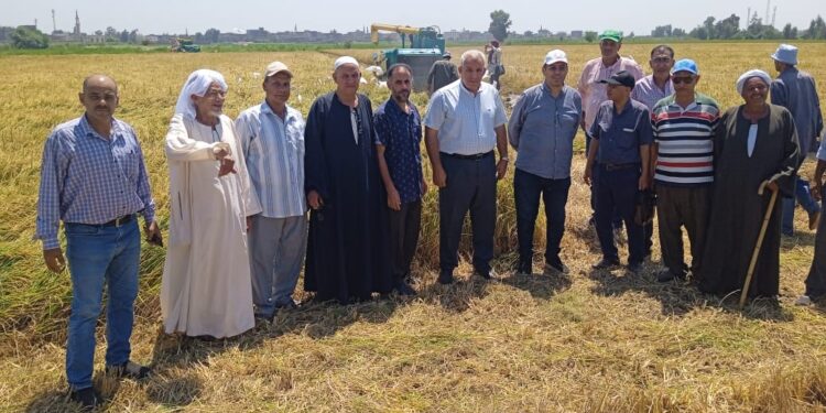 «زراعة الشرقية»: 6 توصيات بيوم حصاد الأرز بالحقول الإرشادية بالإبراهيمية 1 6 توصيات لزراعة الشرقية بيوم حصاد الأرز بالحقول الإرشادية بالإبراهيمية